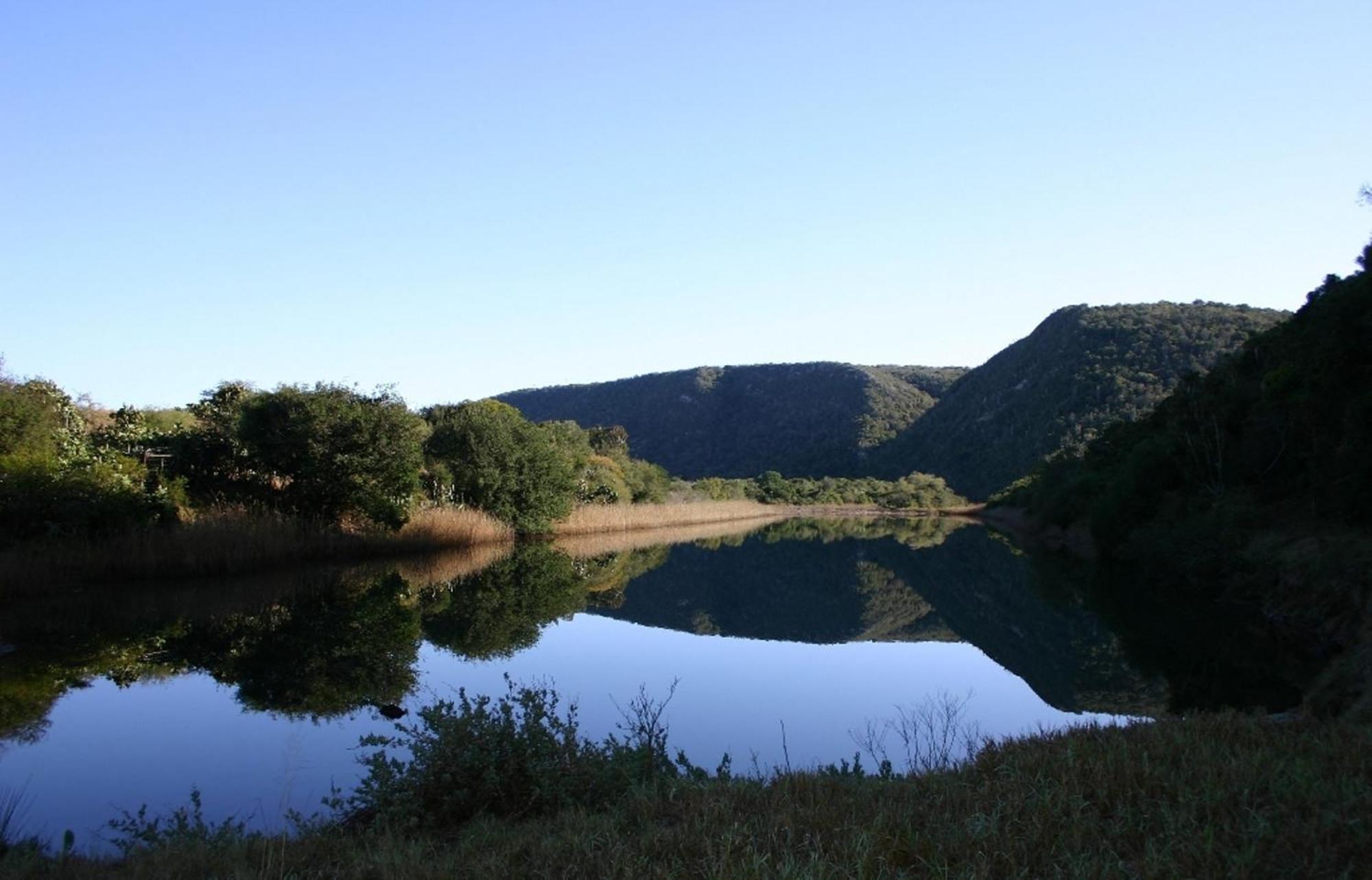 Sibuya Game Reserve And Lodge Кентон-он-Си Экстерьер фото