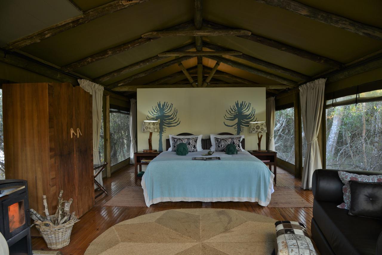 Sibuya Game Reserve And Lodge Кентон-он-Си Экстерьер фото