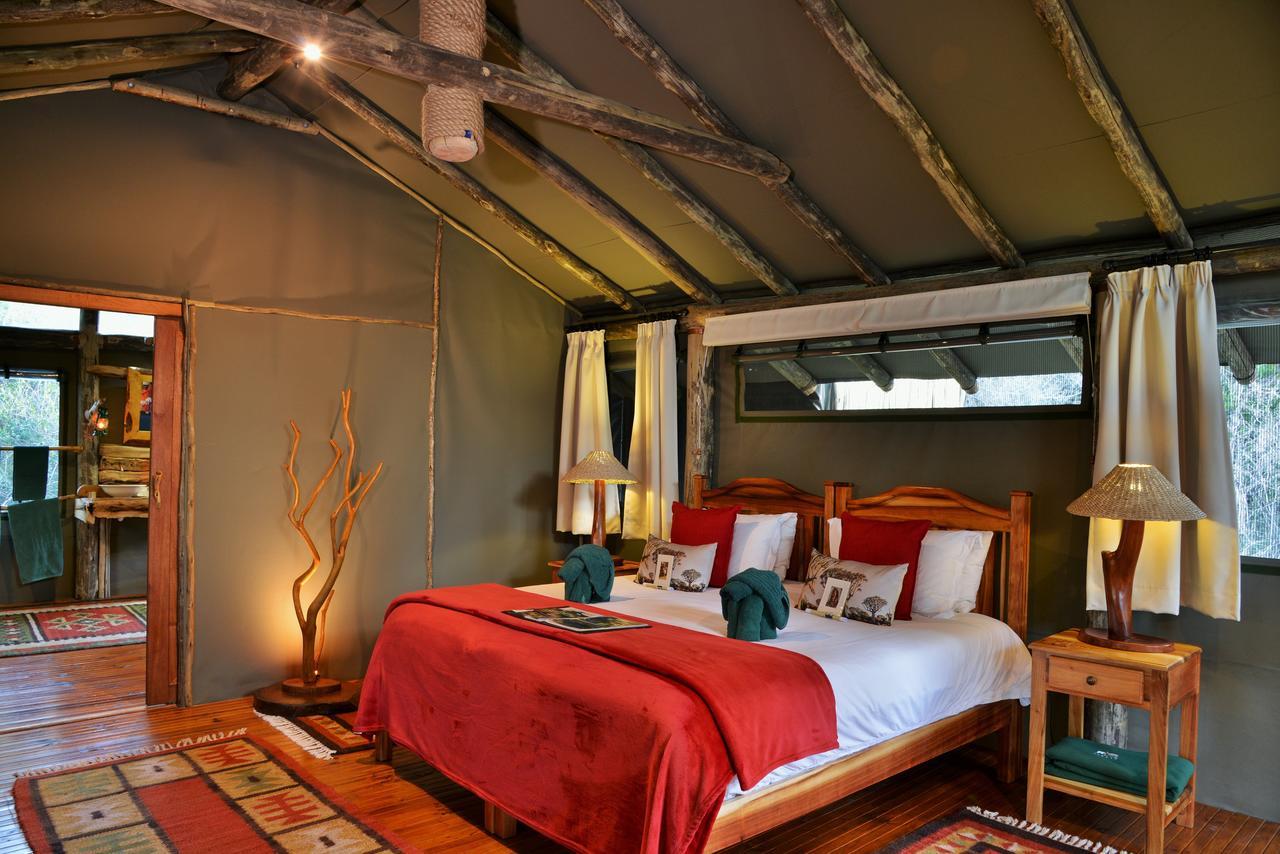 Sibuya Game Reserve And Lodge Кентон-он-Си Экстерьер фото